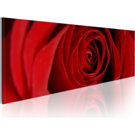 Tableau Imprimé "Rose du Nord" 45 x 135 cm (1/2)