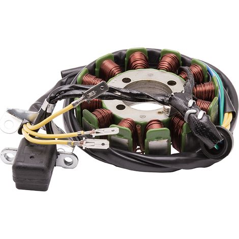 Zündkerze für ATV 250cc 4T (12 Spulen) (1/2)