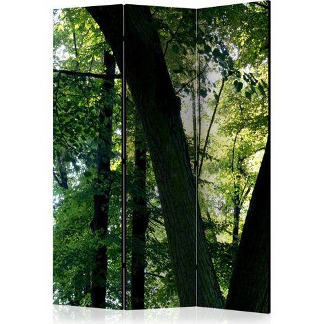 Paravent 3 Volets "Spring in the Park" 135x172cm (1/2)