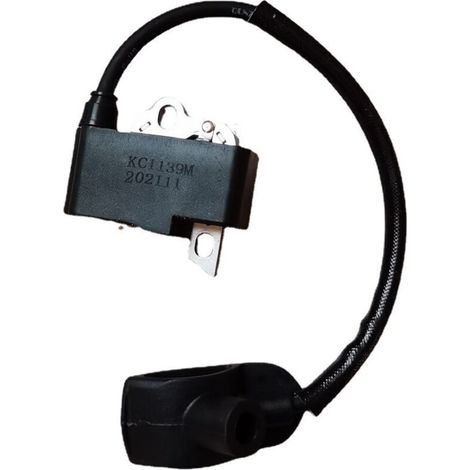 Bobine d'allumage haute qualité compatible BR430, BR350, BR450, allumeur, référence 4244 400 1307 pour système automobile (1/4)