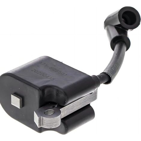 Bobina di accensione ad alta tensione per modelli 575803501 545199901 120 Mark II 120 EM - ALTRI