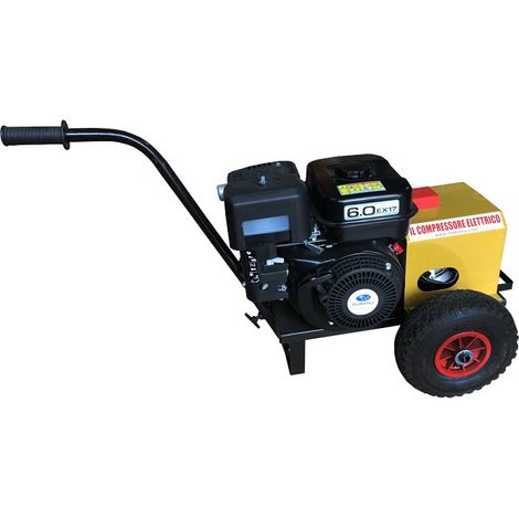 Generatore Energy a Scoppio Benzina 12V per Abbacchiatori (1/2)