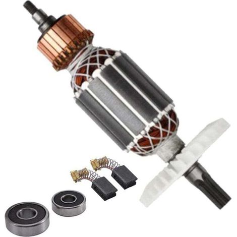 Remplacement D'Ancre de 220V pour 360591E DH40MRY DH40M DH40MR DH40SR Marteau Rotatif à Tige CanneléE (1/5)