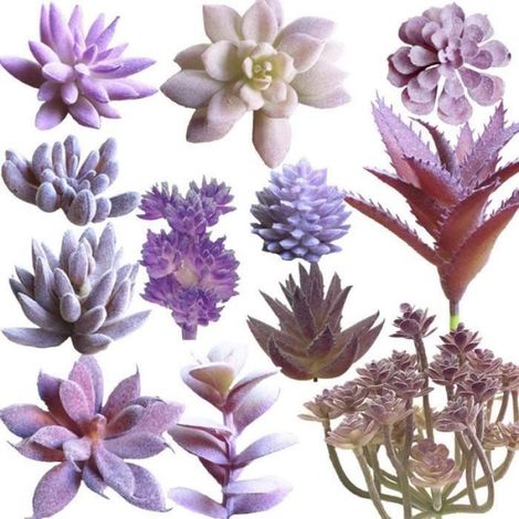 Plante Succulente Artificielle - Résine Écologique - Décoration Intérieure - 12 Pièces - Pourpre (1/4)