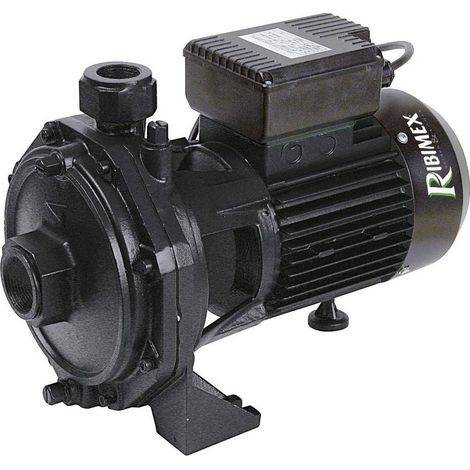 Pompe Centrifuge 2000W - 2 Turbines Inox - Débit 180 L/min - Performance Élevée et Fiabilité - D-Work