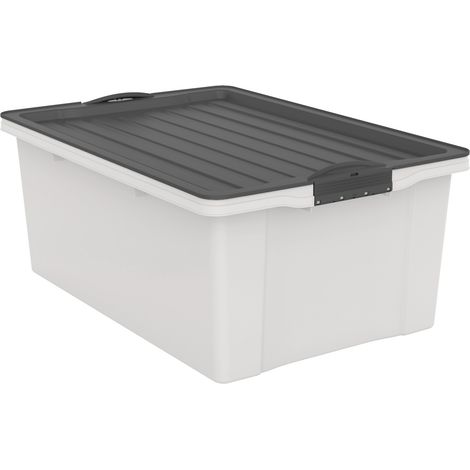 Rotho Aufbewahrungsbox Compact mit Deckel 57 x 40 cm 38 L mistletoe weiß