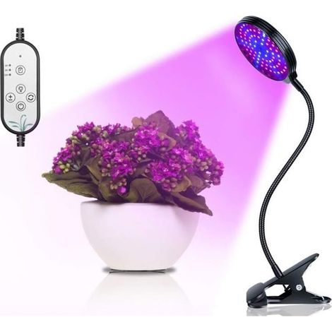 Pince LED pour éclairage horticole, spectre complet, plantes d'intérieur-AquaForge (1/5)