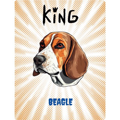 Placa del Rey Beagle - 20x28 cm
