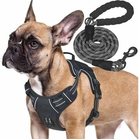 Harnais tactique robuste pour petits chiens, harnais réglable sans traction pour animaux de compagnie, gilet réfléchissant pour animaux de compagnie, harnais de travail militaire K9 pour chiens Peti (1/5)