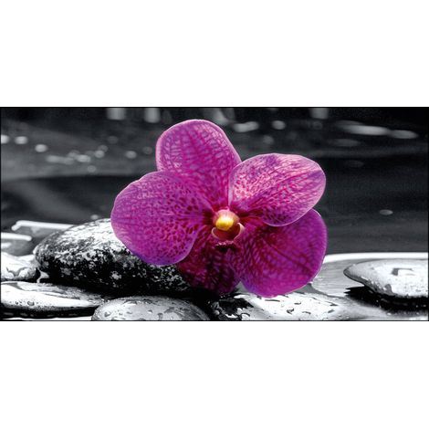 Lupia - Quadro su tela canvas DEEP 77X143 ORCHID IN BLACK (1/3)