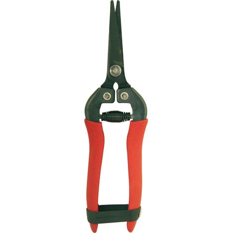Forbici ortofrutta cogliuva in acciaio lama curva 18cm Brixo (1/2)