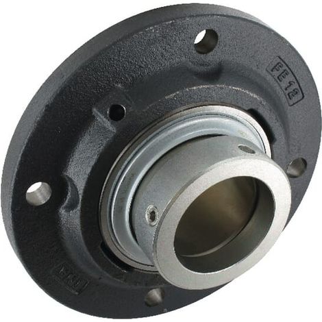 Corps de palier INA/FFAG RFE60 (1/3)