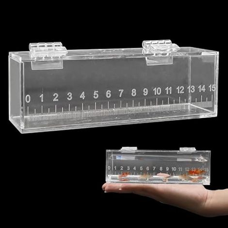 Boîte d'observation des poissons avec couvercle et échelle, mini aquarium de pêche en acrylique, boîtes à éclosion de poissons, petit coffre-fort portable pour extérieur et intérieur (1/5)