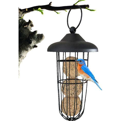 Outdoor bird feeder, hanging fat ball holder, metal food dispenser (1/5)