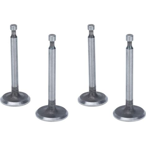 Kit de soupapes de moteur, 2 ensembles de soupapes d'admission antirouille en acier inoxydable pour moteurs à 2KW 2.5KW 3KW 168F GX160 (1/4)