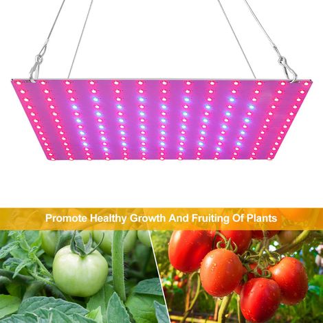 Lampe de Culture Spectre Complet LED Grow Light Panneau 81 Leds Lampe de Plante UV et IR Lampes Horticoles de Croissance pour serre et plantes d'intérieur, légumes et des fleurs (1/5)