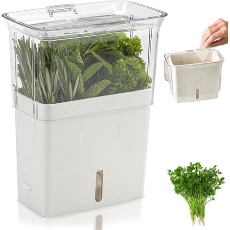 Barattoli per spezie, barattoli per alimenti, contenitori per erbe aromatiche, contenitori per verdure fresche, contenitori per verdure, contenitori per coriandolo, bianchi e trasparenti, 23 x 18 x (1/5)