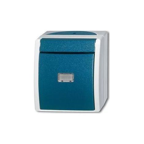 Busch-Jaeger Wechselschalter AP 2601/6 WGL-53