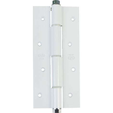 AMIG Charnière va-et-vient simple action 3034 180 x 80 x 4 mm Aluminium Blanc (1/4)