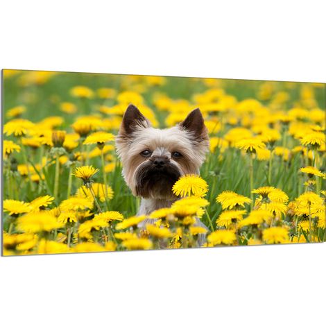 Glasschutzplatte für den Herd 90x52 Hund (1/5)