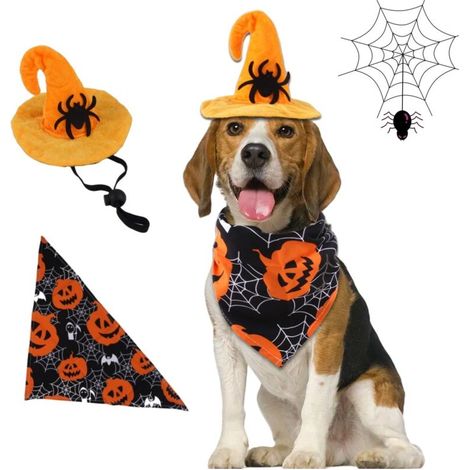 Halloween-Kostüm „Schwarzer Hund mit Glatze“