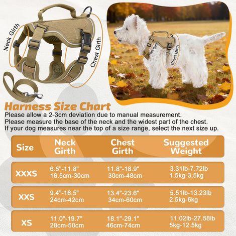 Harnais pour Chien Réglable avec Laisse, Ensemble de Harnais Respirant et Confortable pour Chiens Petits et Moyens, Harnais de Sécurité Anti-Traction avec Poignée de Contrôle et Bandes Réfléchissantes