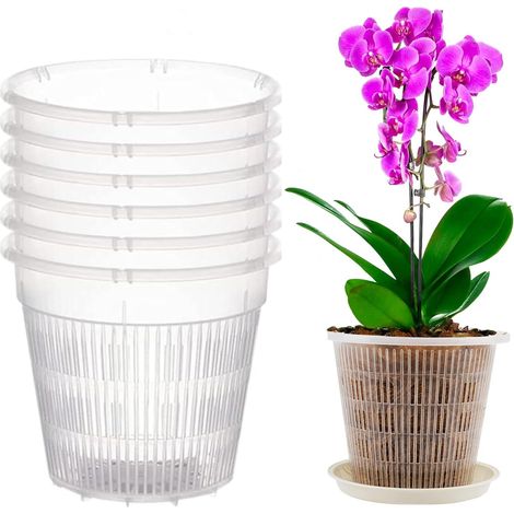 Un ensemble de 6 pots à orchidées en plastique transparent et respirant, adaptés aux orchidées et aux semis (11 cm de diamètre, avec soucoupe).