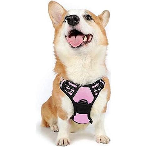 Arnés para perros talla M, rosa, con función antitirones, reflectante, ajustable, con enganche para correa en la parte delantera, ideal para senderismo, paseos en coche, para bulldogs franceses y past (1/5)