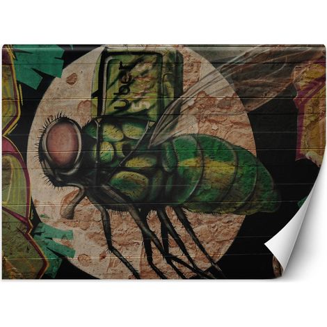 Fototapete Fliege und Mond Graffiti  100x70 cm (1/5)