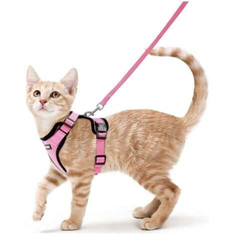 Vtizikl Harnais pour chat et petit chien XS – Réglable rose – Bandes réfléchissantes pour visibilité nocturne – Attache supérieure avec laisse