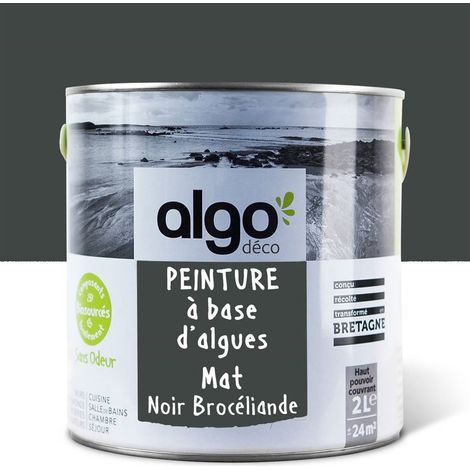 Peinture écologique Algo - Mat - Noir Brocéliande - 2L (1/5)