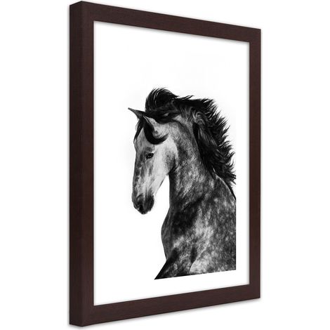 Quadro con cornice, Cavallo selvaggio - 40x60 (1/5)