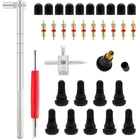 Outil de Réparation de Pneus - Démontage de Valve - 23Pcs - Universel - Couleur Noir - Quatre Saisons PIECE DETACHEE DE PNEU (1/4)