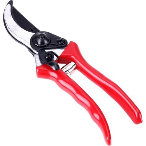 Outil de Greffage Jardin Professionnel Acier Inoxydable Ciseaux de Greffe pour Plantes et Arbres Coupe Précise et Rapide Kit pour Jardinage (1/5)