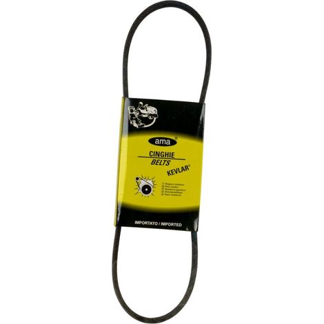 Cinghia trapezoidale 3L 30" (1/4)