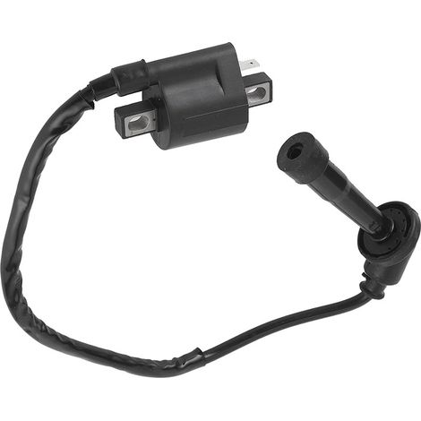 Bobine d'allumage – Compatible YAMAHA GRIZZLY 660 / YFM660 / YFM660F – ATV (1/5)