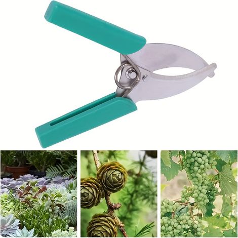 Outil Greffage Acier Inox Secateur Coupe-Ecorce Couteau Anneau Verger (1/4)
