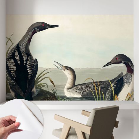 Papier peint autocollant adhésif avec imprimé motifs uniques apparence moderne Oiseaux au bord de l'eau 104x70 cm (1/5)