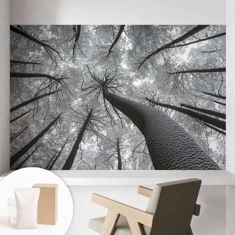 Papier peint avec colle pour décoration moderne de salon chambre à coucher cuisine et bureau Facile Paysage hivernal 104x70 cm (1/5)