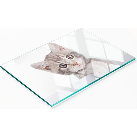 Tagliere da cucina in vetro temperato con grafica decorativa a forma di gatto grigio, 80x52 cm (1/5)