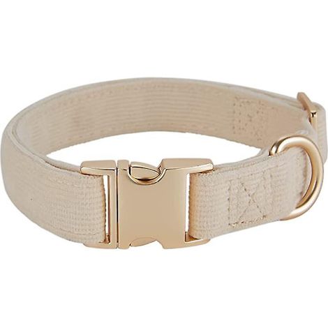 Cremeweißes, ultraweiches Hundehalsband aus Natursamt, geeignet für mittelgroße Hunde mit empfindlicher Haut (1/5)