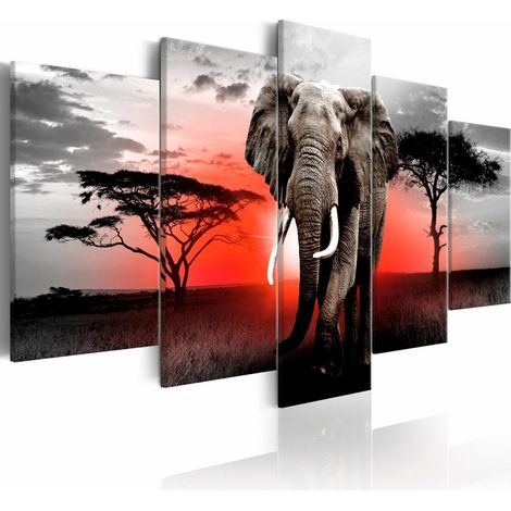 Tableau éléphant solitaire - 100 x 50 cm (1/4)