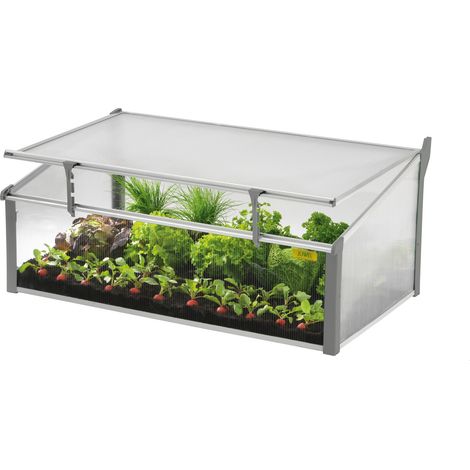 Juwel Frühbeet Easy Fix 100 x 60 cm Gewächshaus Tomatenhaus Treibhaus (1/5)
