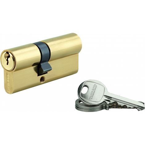 Cilindro europeo SA UNIKEY 30 x 40 mm in ottone, chiave uguale, 3 chiavi, vite 50 mm - THIRARD