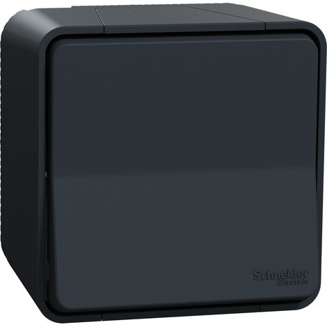 Mureva Styl - Wechselschalter - Vorsprung - IP55 - IK08 - Schraublose Verbindung - grau - SCHNEIDER ELECTRIC - MUR35021 (1/2)