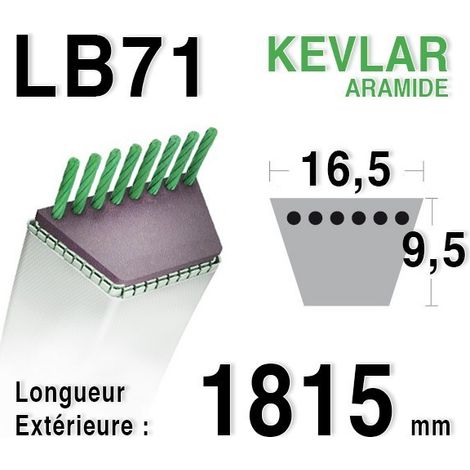 Courroie Lisse Trapézoïdale Série Lb (section 16,5x9,5mm) Longueur Ext: 71. (1/2)