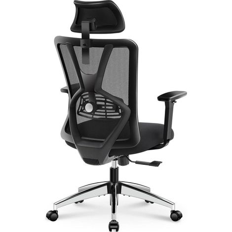 Bürostuhl Ergonomisch mit Verstellbarer Lendenwirbelstütze & Kopfstütze (1/5)