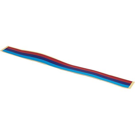 Bande adhésive en vinyle tricolore pour calandre BMW M3 M5 E36 E46 E60 E90 E92 - FFY (1/4)