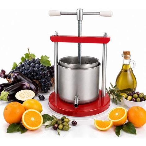 Torchio Torchietto Premitutto Spremitutto Acciaio inox per Frutta Verdura Uva Grande (1/5)