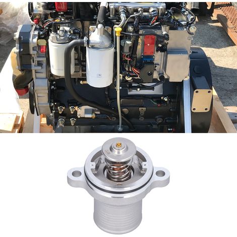 Ensemble thermostat 4133L507 pour Perkins (1/5)